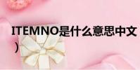 ITEMNO是什么意思中文(item是什么意思)