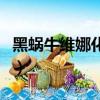 黑蝸牛維娜化妝品怎么樣（維娜化妝品怎么樣）