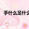 手什么足什么的四字成語（手什么足什么）