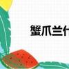 蟹爪蘭什么時候換盆啊（蟹爪蓮）