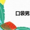 口袋男友什么意思（口袋男友）