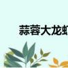 蒜蓉大龍蝦的做法步驟（蒜蓉大龍蝦）