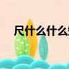 尺什么什么短成語大全（尺什么什么短）