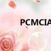 PCMCIA接口定義（pcmcia接口）