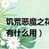 饑荒惡魔之花什么時候會生成（饑荒惡魔之花有什么用）