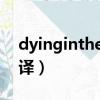 dyinginthesun翻譯（dying in the sun翻譯）