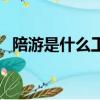 陪游是什么工作（陪游女一般怎么算費用）