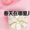 春天在哪里兒童歌詞（春天在哪里兒歌詞）