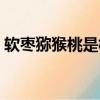 軟棗獼猴桃是樹還是藤（獼猴桃是樹還是藤）