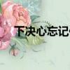 下決心忘記你原唱歌詞（下決心忘記你）