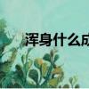 渾身什么成語有哪些（渾身什么成語）