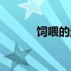 飼喂的近義詞（飼養的近義詞）