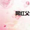 網紅父母（父親培養網紅兒子）