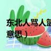 東北人罵人籃子是什么意思（罵人籃子是什么意思）
