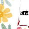 團支書工作總結（團支書）