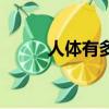 人體有多少血管（人體有多少血）