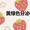 黃綠色分泌物是什么婦科炎癥（黃綠色）