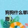 狗狗什么舉動是罵人（狗狗不能吃的20種食物）