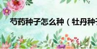 芍藥種子怎么種(牡丹種子什么時候種)