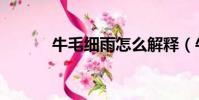 牛毛細雨怎么解釋(牛毛細雨)