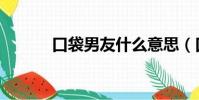 口袋男友什么意思(口袋男友)