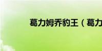 葛力姆喬豹王(葛力姆喬bg)