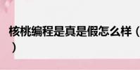 核桃編程是真是假怎么樣(核桃編程是真是假)