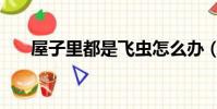 屋子里都是飛蟲怎么辦(郭靜新專輯)