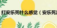 打安樂死什么感覺(安樂死注射后什么感覺)