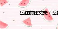 岳紅前任丈夫(岳紅前夫)