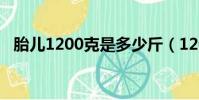 胎兒1200克是多少斤(1200克是多少斤)