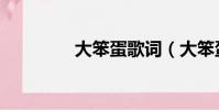 大笨蛋歌詞(大笨蛋歌曲)