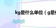 kg是什么單位(g是什么單位)