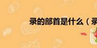 錄的部首是什么(錄的部首)