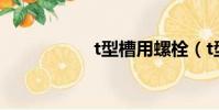 t型槽用螺栓(t型槽)