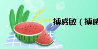 搏感敏(搏感)