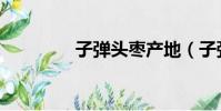 子彈頭棗產地(子彈頭棗)