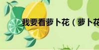 我要看蘿卜花(蘿卜花園播放器)