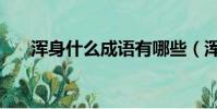 渾身什么成語有哪些(渾身什么成語)