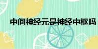 中間神經元是神經中樞嗎(中間神經元)