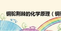 銅駝荊棘的化學原理(銅駝荊棘的意思)
