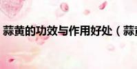 蒜黃的功效與作用好處(蒜黃的功效與作用)