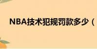 NBA技術犯規罰款多少(nba技術犯規)