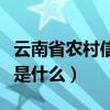 云南省農村信用社開戶支行是什么（開戶支行是什么）