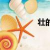 壯的組詞組（壯的組詞）