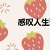 感嘆人生聚散的句子（分離的句子）