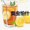 臭蟲怕什么藥能殺死（臭蟲怕什么）
