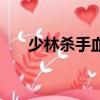 少林殺手血錢男主角簡介（少林殺手）