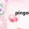 pingo整裝活動（pingo整裝）