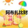 阿布扎比財團有多少錢（阿布扎比財團）